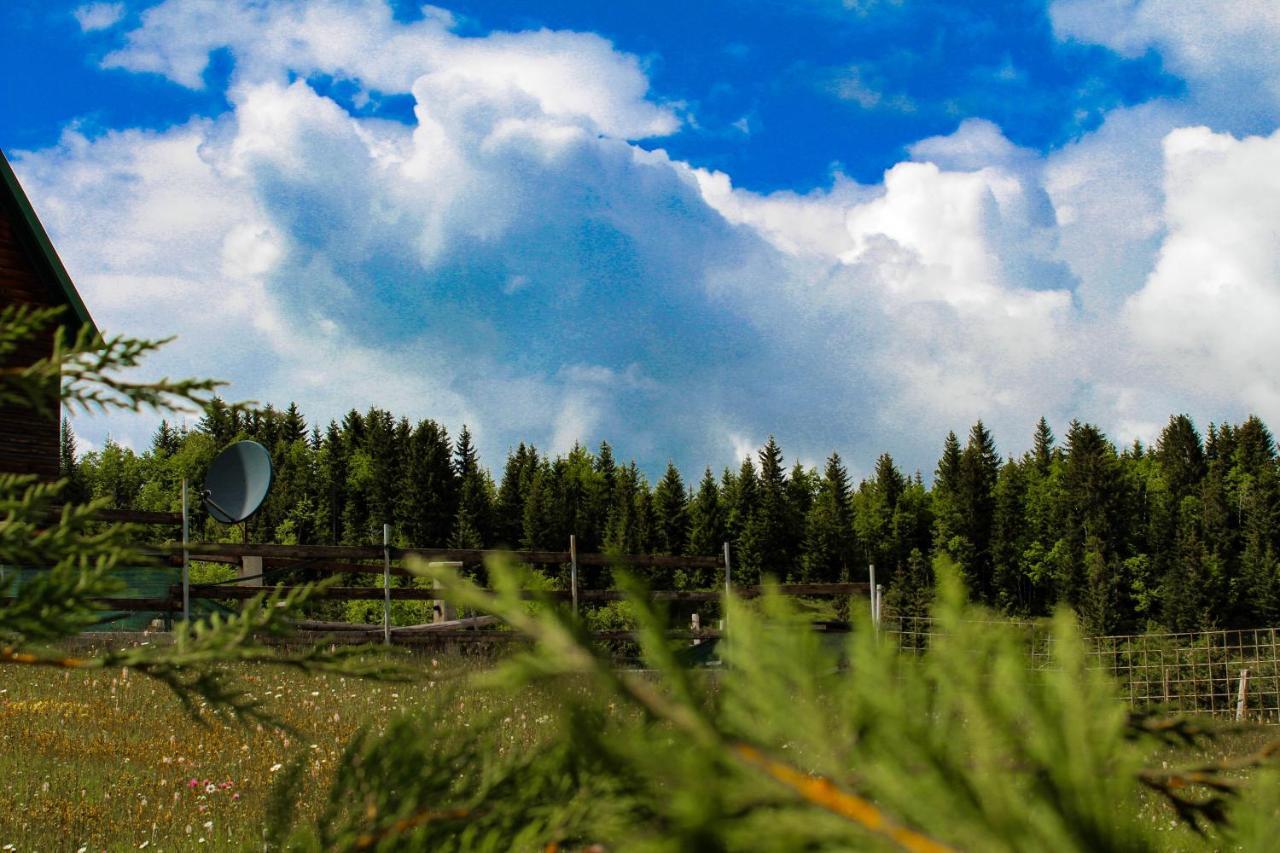 Vikendica Anja Žabljak Exterior foto